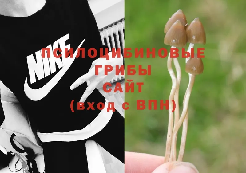 Псилоцибиновые грибы Psilocybine cubensis  купить наркотик  нарко площадка как зайти  Новая Ляля 